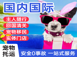 青岛机场托运国际宠物托运 【国
